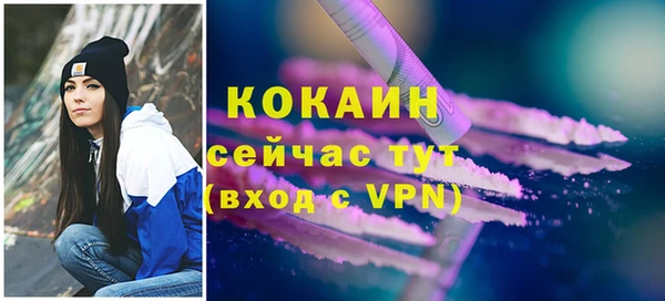 ECSTASY Покачи