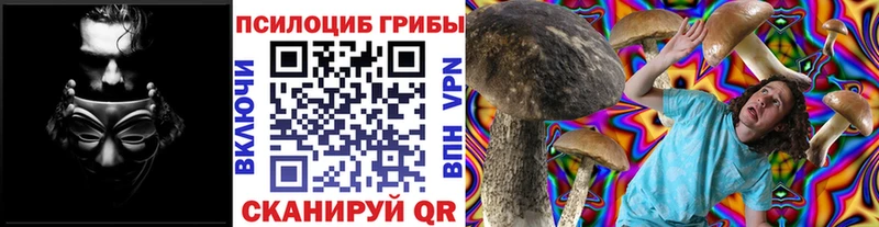 Галлюциногенные грибы ЛСД  где купить наркоту  Альметьевск 