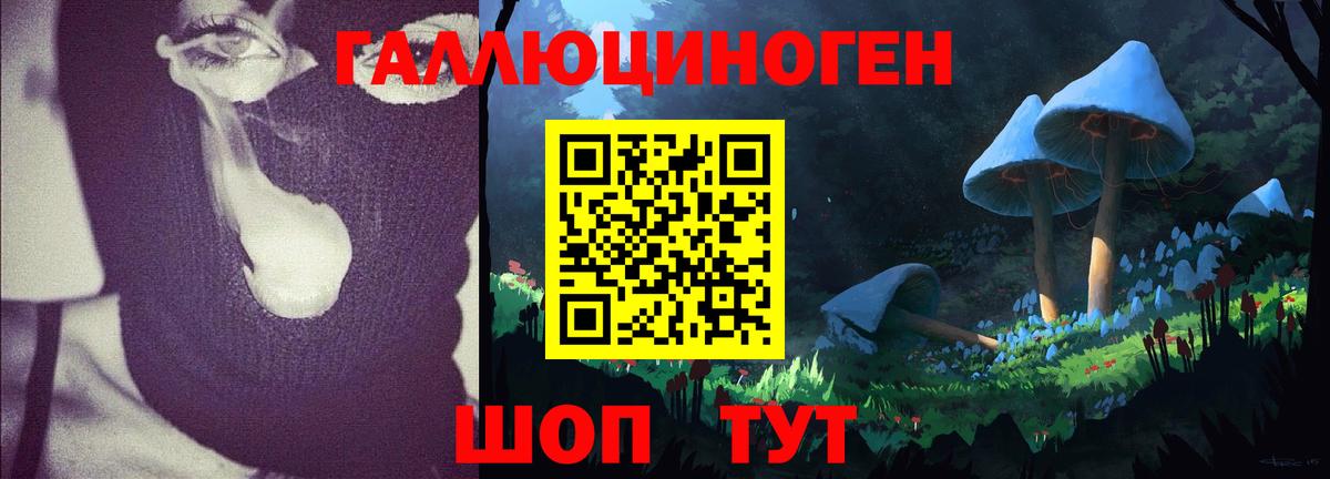 Псилоцибиновые грибы прущие грибы  Галлюциногенные грибы Psilocybine cubensis  Альметьевск  Вход с VPN 